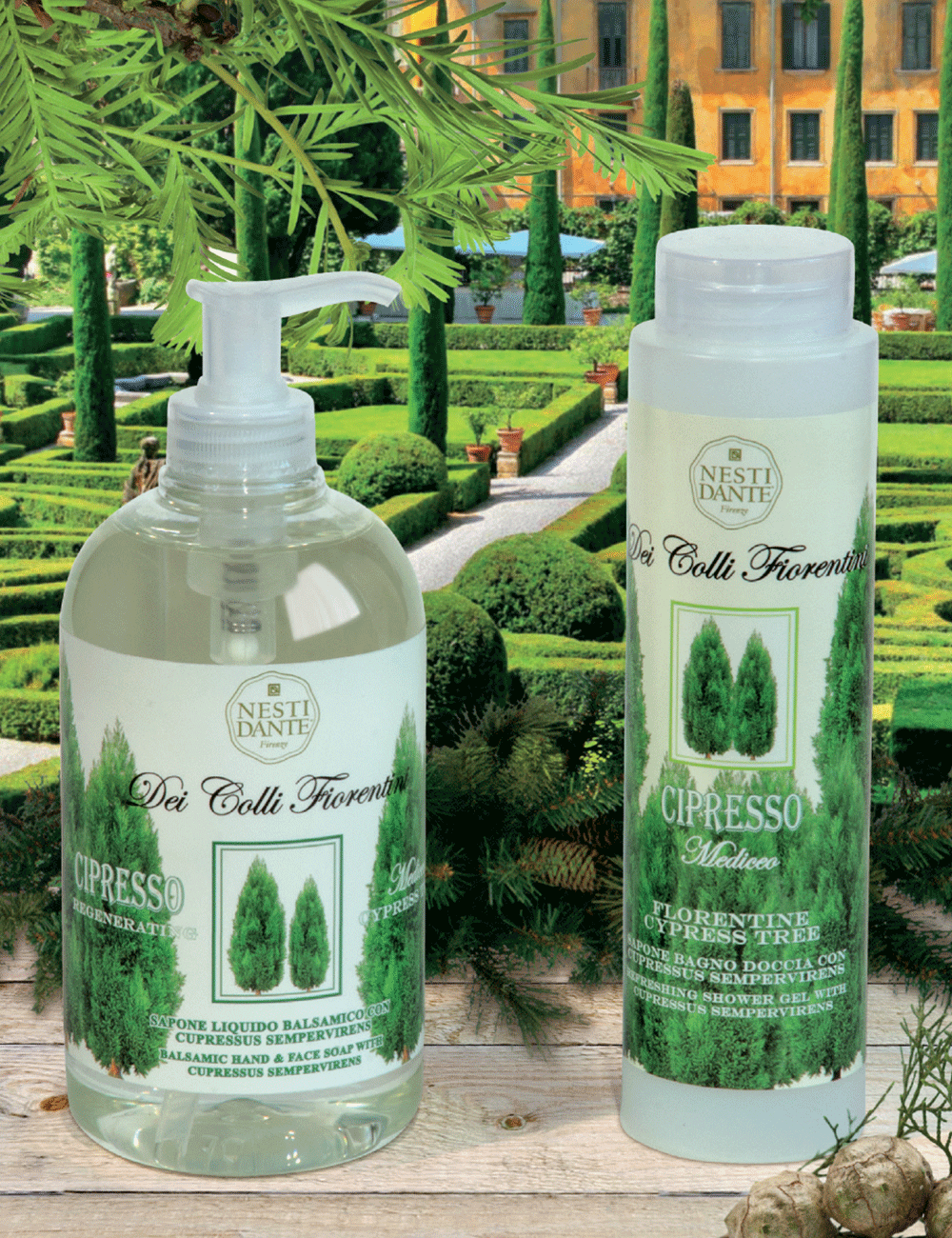 Nesti Dante Dei Colli Fiorentini Cipresso