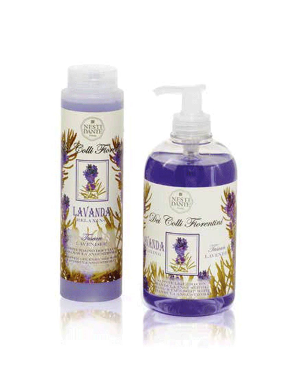 Nesti Dante Lavanda