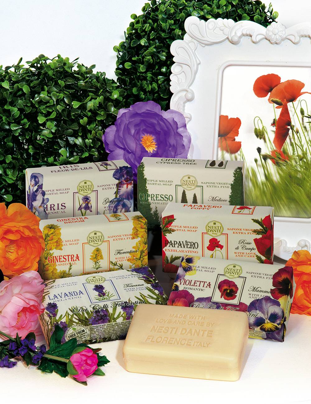 Nesti Dante Dei Colli Fiorentini