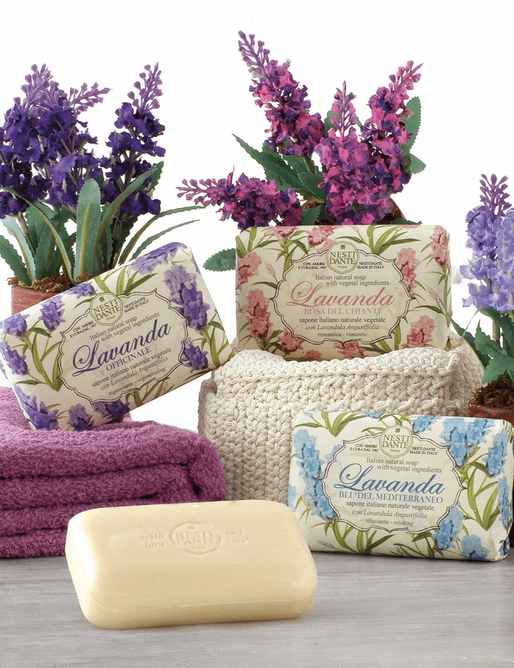 Nesti Dante Lavanda