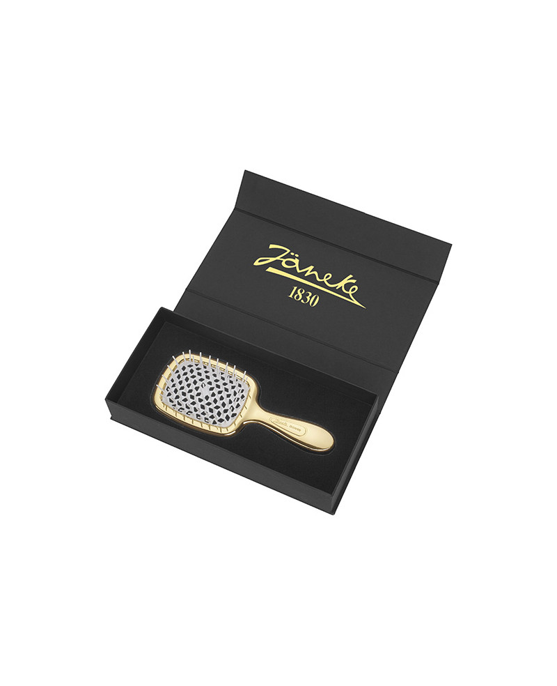 Janeke Scatola Regalo con Spazzola Superbrush oro - Cod. SCA21 Vendita