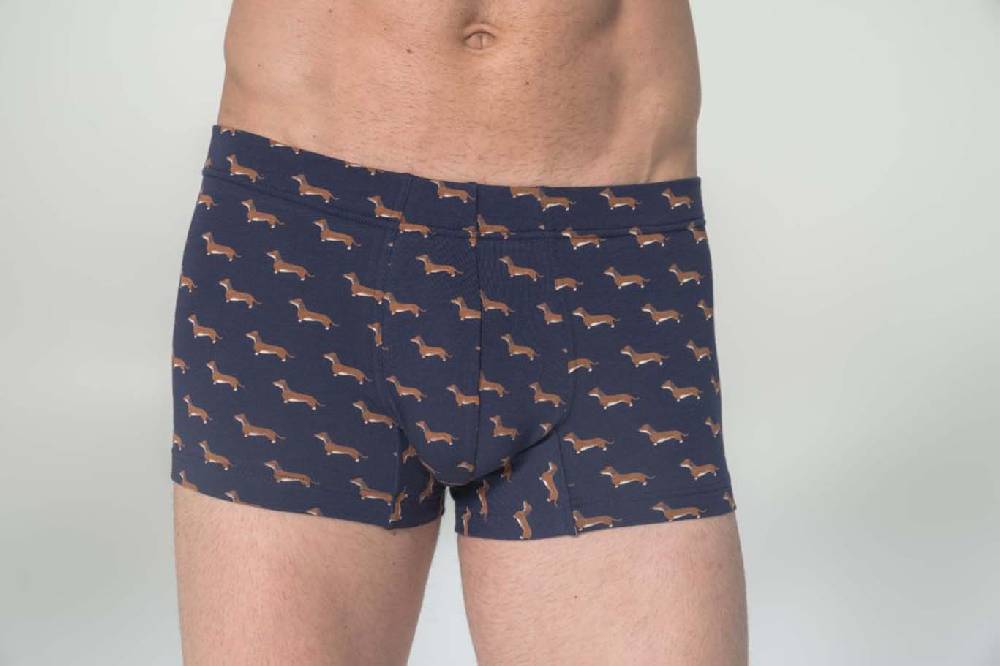 Julipet Boxer in cotone bielastico stampato Spedizione Gratuita