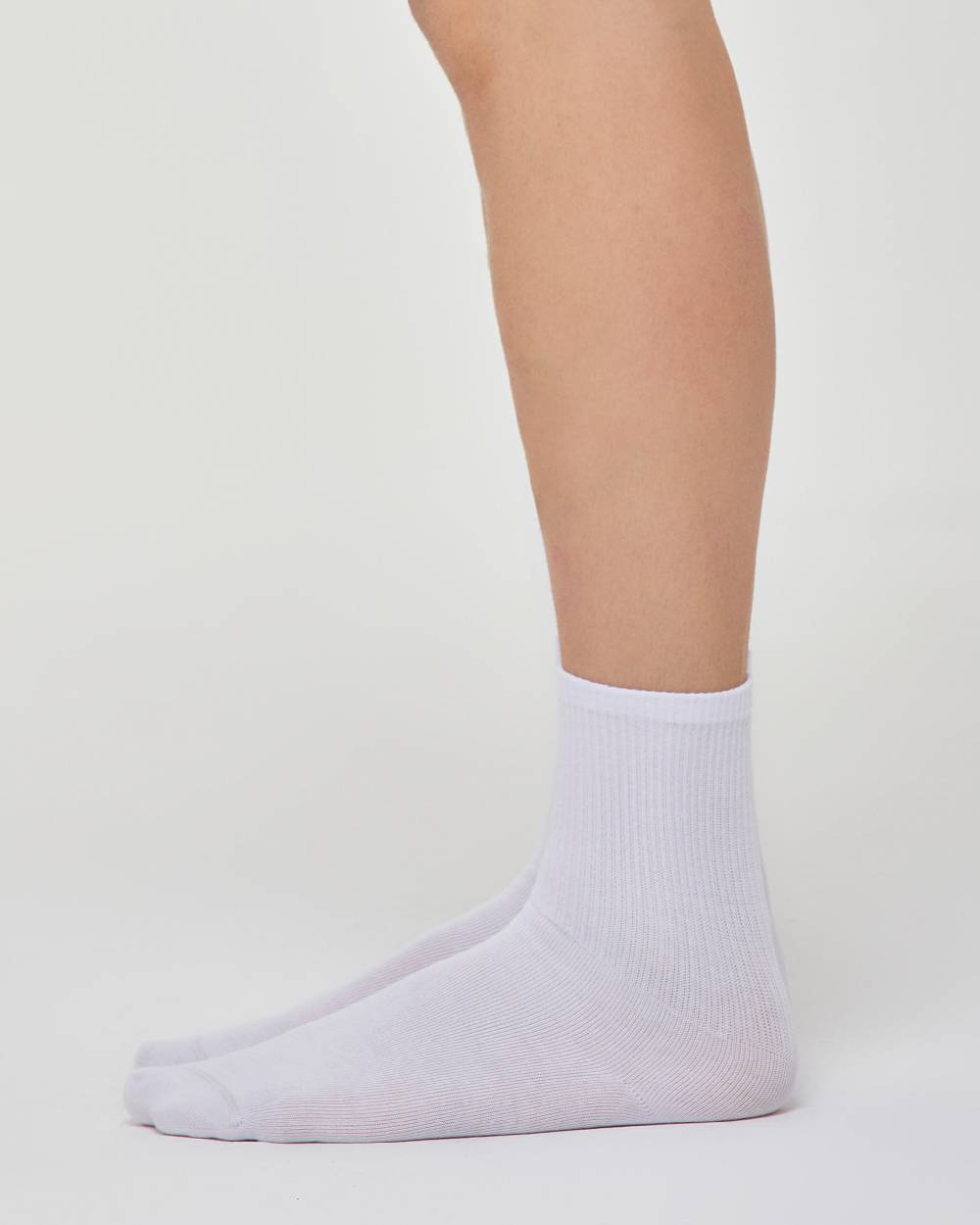 Pompea BIPACK CALZA CORTA SPORT EVERYDAY Online