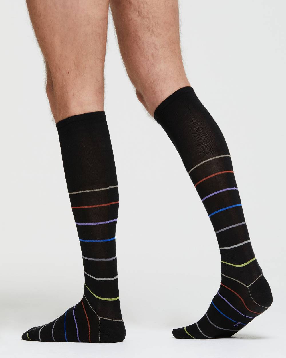 Pompea CALZA LUNGA COTONE DOMENICO MOTIVO A RIGHE Latest fashion