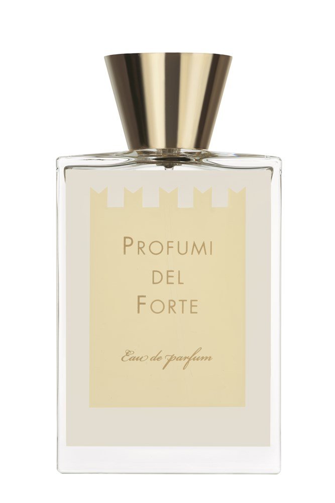 Profumi del Forte Versilia Vintage Ambra Mediterranea Spedizione Gratuita