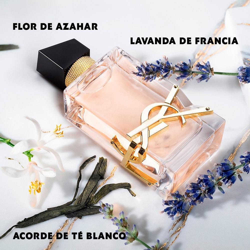 Yves Saint Laurent LIBRE Outlet
