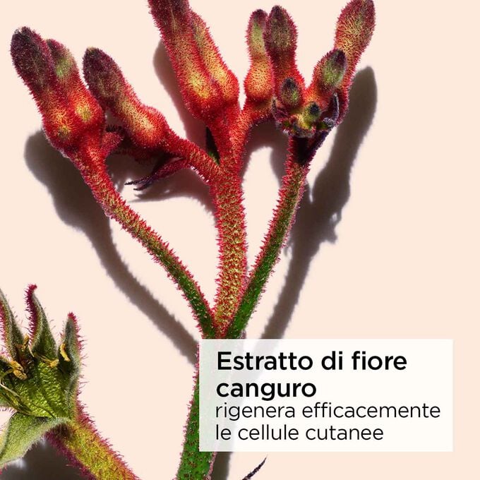 Clarins Extra-Firming Crema Antirughe Tutti i tipi di pelle In Saldo