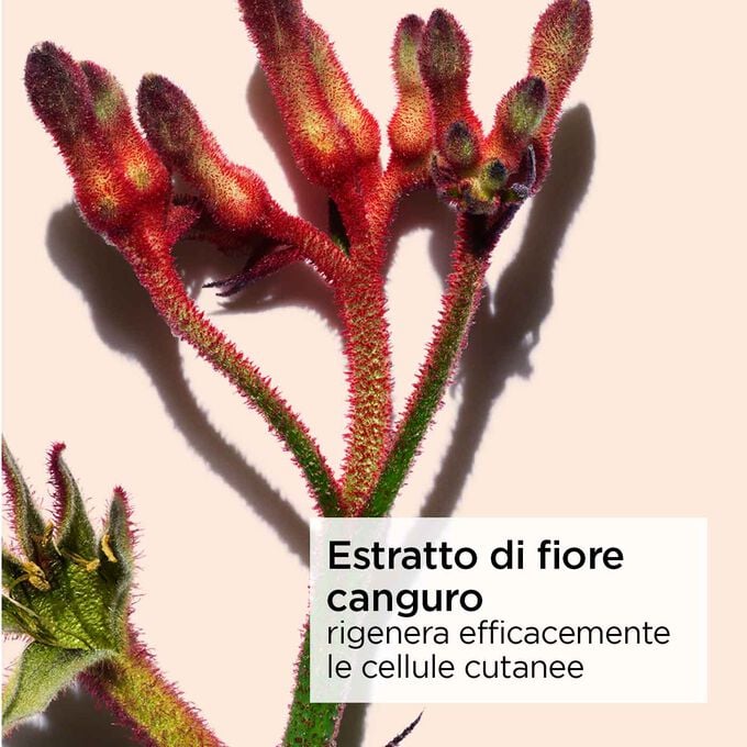 Clarins Extra-Firming Crema Antirughe Notte Speciale Pelle Secca Promozione Limitata