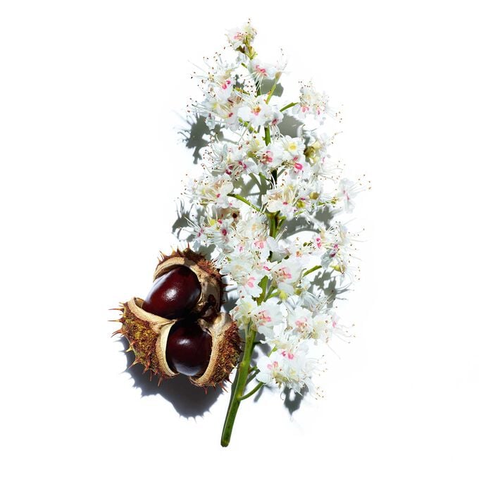 Clarins Nutri-Lumière Giorno Emulsione Sconto di tempo limitato