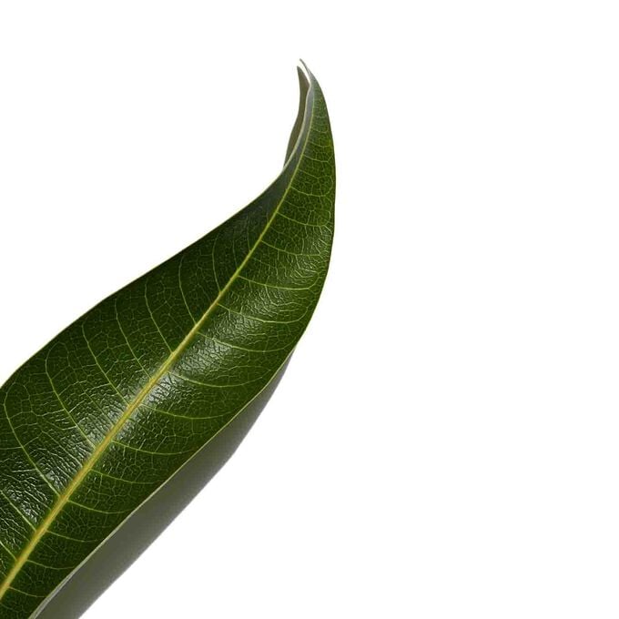Clarins UV PLUS Antinquinamento Trasparente Qualità