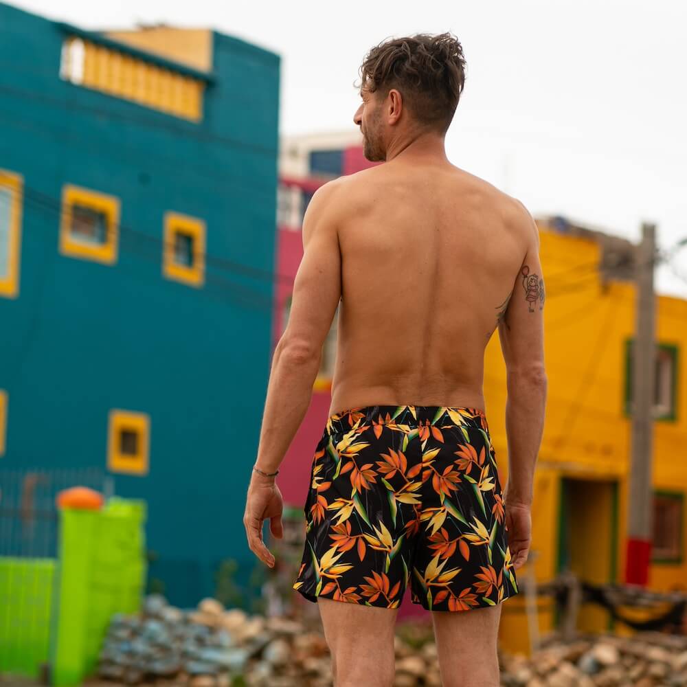 Seay / Costume da Bagno Corto Nero Bird of Paradise Qualità Garantita