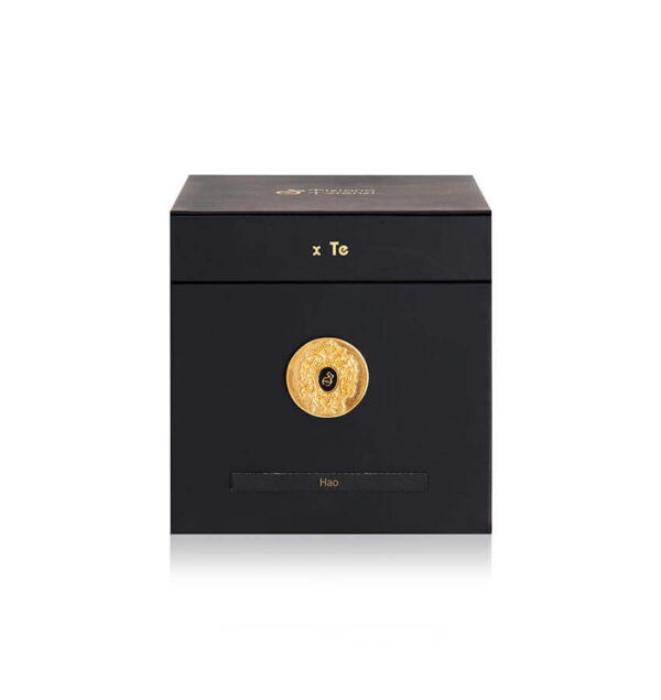 Tiziana Terenzi Hao Promozione Limitata