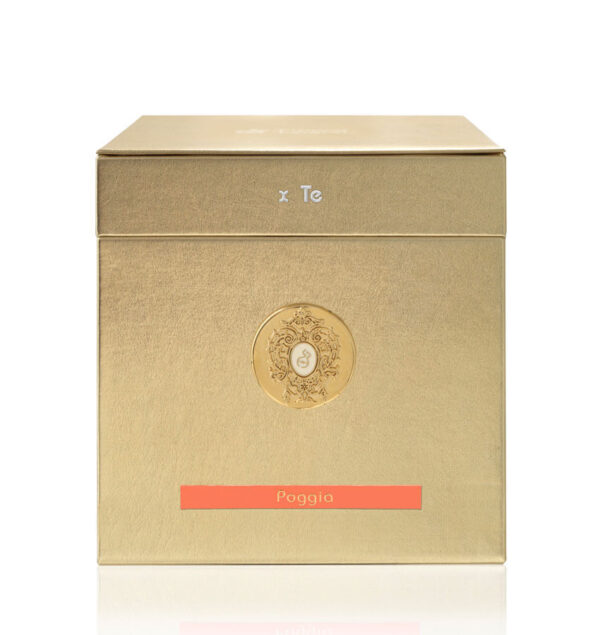 Tiziana Terenzi Poggia Ultimi tre giorni