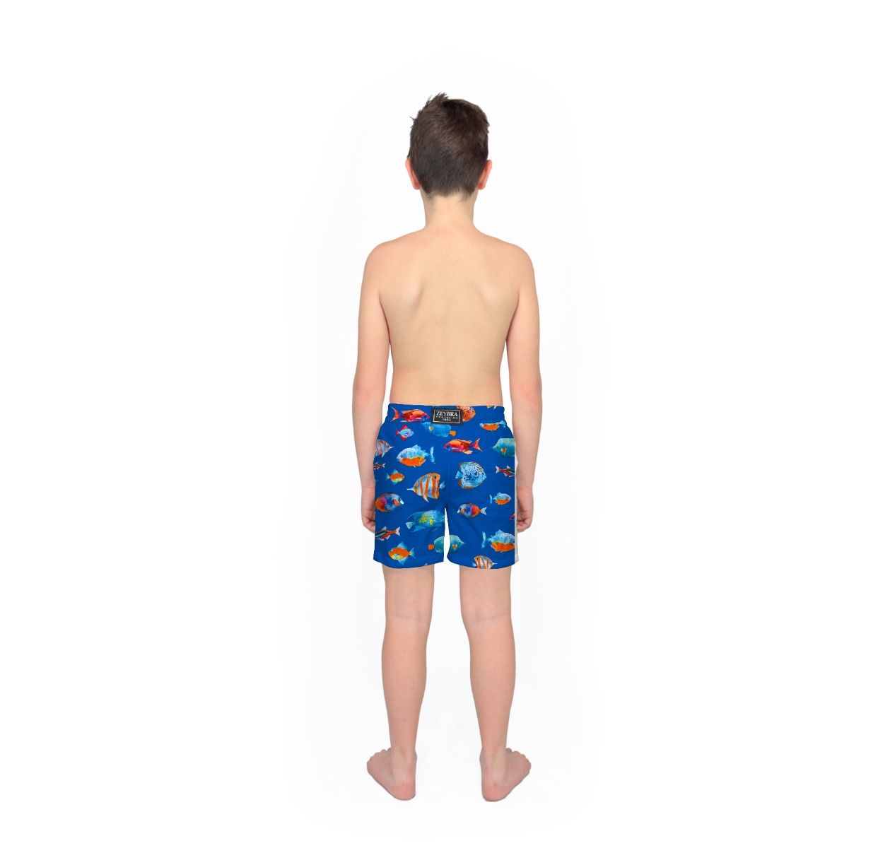 Zeybra COSTUME BAMBINO PESCI ELETTRICO 2025